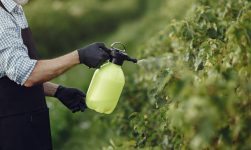 insecticide en-gros