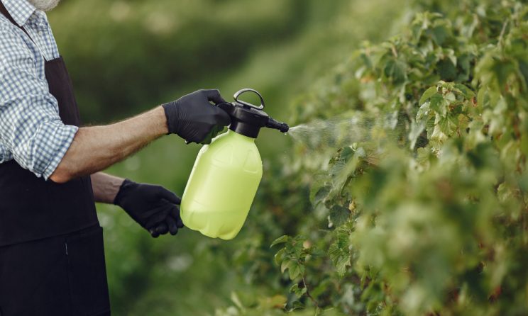 insecticide en-gros